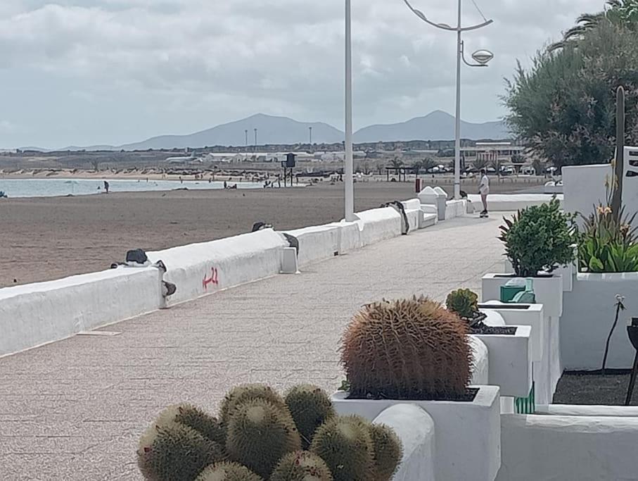宏达海滩Sol Y Terraza公寓 外观 照片